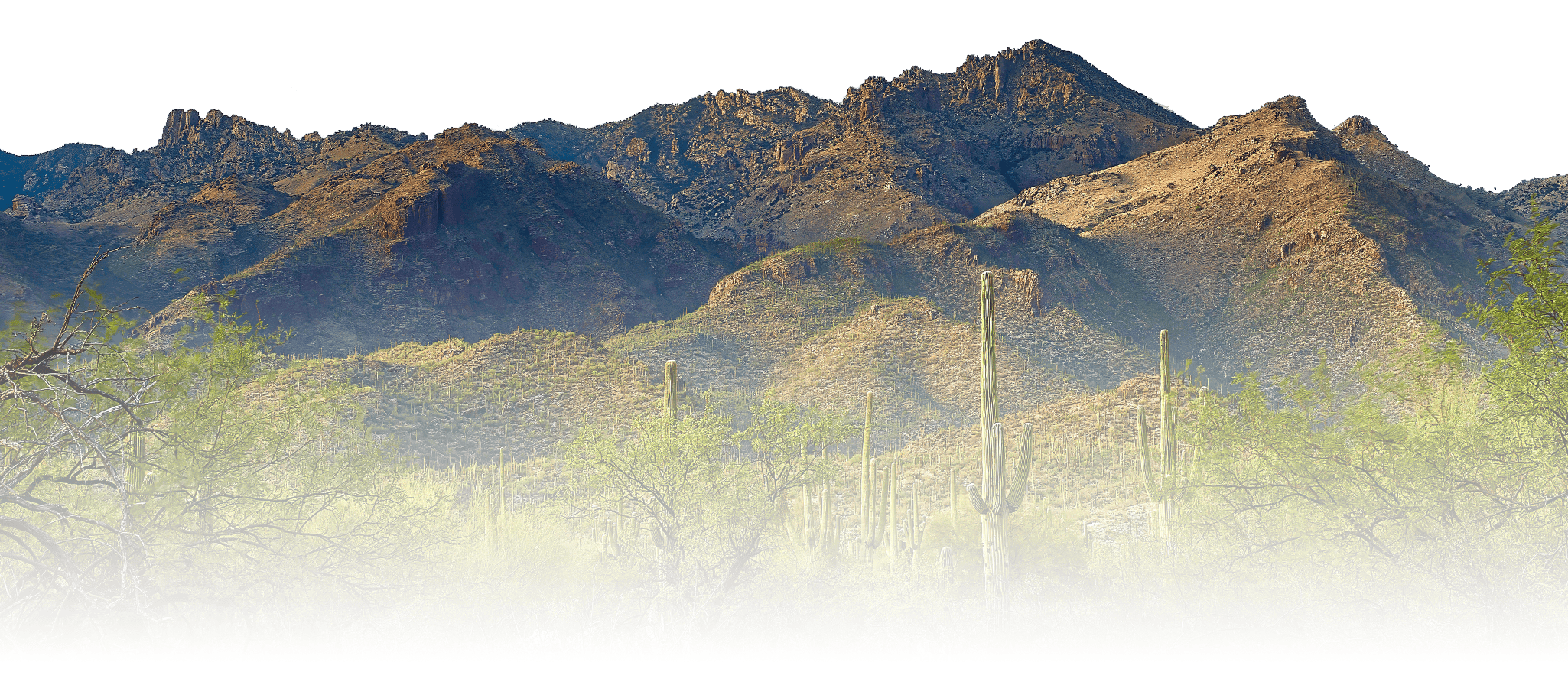 Catalina Mountain range in Tucson, AZ.